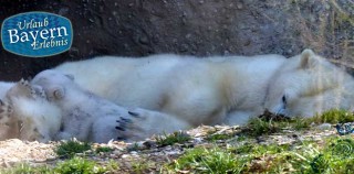 Tierpark München – Ein Ausflug zum Zoo Hellabrunn