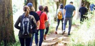 Spazierengehen – Bewegung für die ganze Familie