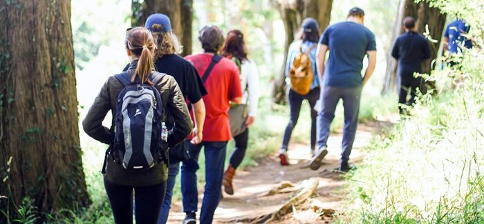 Spazierengehen – Bewegung für die ganze Familie