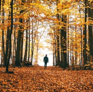 Bayerns bestgehütete Geheimnisse: Eine Reise durch das mystische Oberallgäu