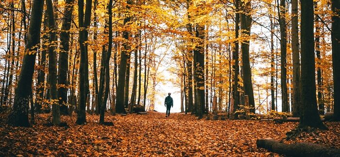 Bayerns bestgehütete Geheimnisse: Eine Reise durch das mystische Oberallgäu