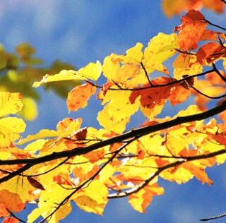 Reisebericht: Indian Summer in den Bergen – Dein Urlaub in Bayern im Oktober